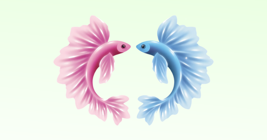 3 Zodiac Signs Most Likely to Shock Pisces This August