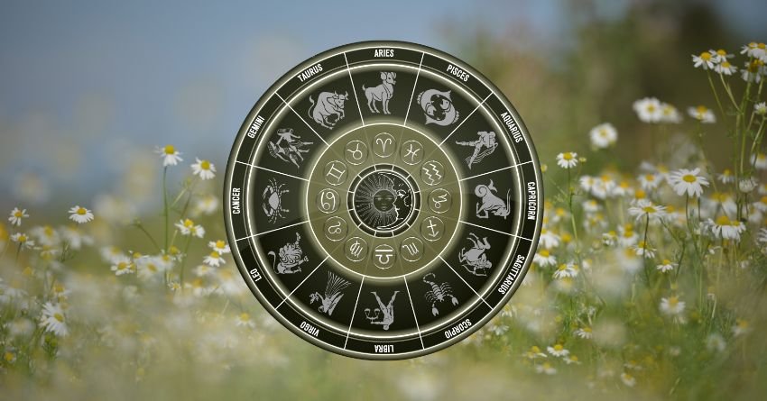 Zodiac wheel in a sunlit field of grass and flowers with a soft natural background