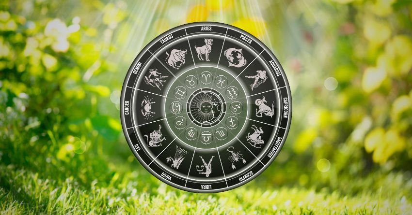 Dark zodiac wheel surrounded by bright green leaves and soft natural light